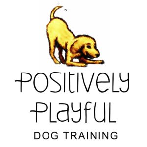 what is playful dog behavior